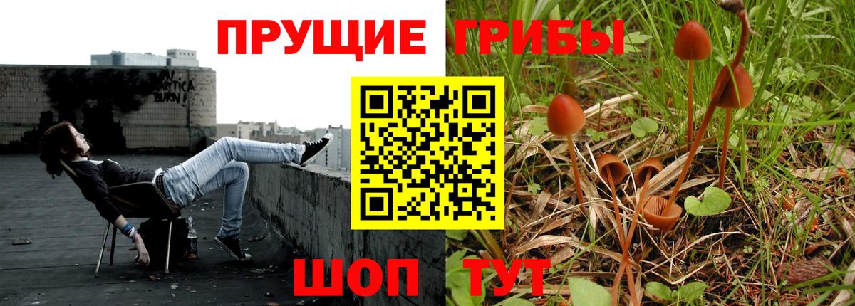 Галлюциногенные грибы прущие грибы Звенигород