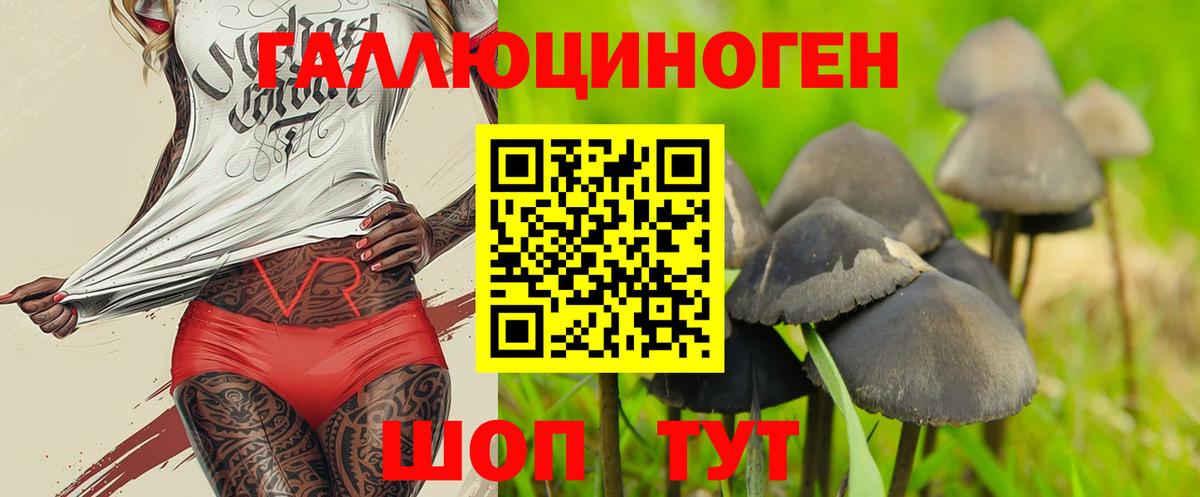 Звенигород  Псилоцибиновые грибы Psilocybine cubensis  Вход с VPN 